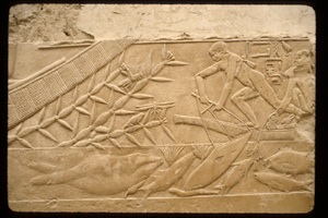 depictions from tombs of Noblemen in Saqqara