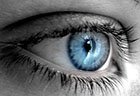 human perception icon