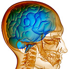 medical imaging icon